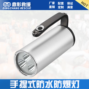 <b>手提式防水防爆燈 手提（tí）式強光（guāng）工作燈</b>